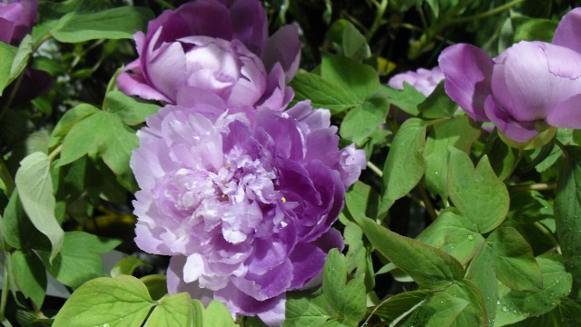 【雨诗冰恋绝舞】让人心酸想哭的说说短句，句句让人折服，哪一句触动你的心了