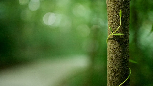 【雨诗冰恋绝舞】让人心酸想哭的说说短句，句句让人折服，哪一句触动你的心了
