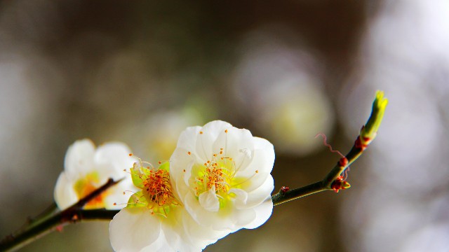 琼英微笑向暖：总结人生的经典句子，经典有个性，哪一句让你感触最深