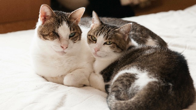 琼英微笑向暖：让人心酸想哭的说说短句，经典透彻，第二句说到了心坎上