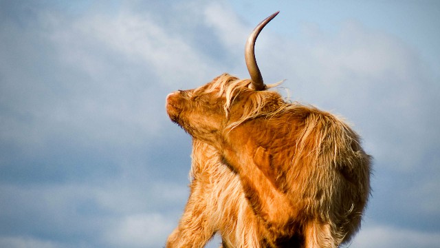 琼英微笑向暖：比较霸道的励志句子，越读越成熟，送给寂寞的自己