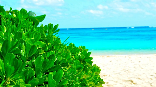 琼英微笑向暖：比较霸道的励志句子，越读越成熟，送给寂寞的自己