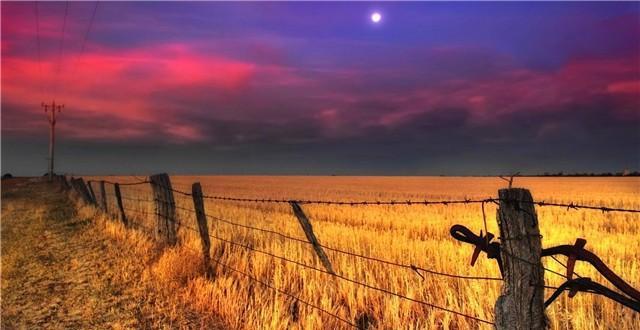 「禅读TB」人生如梦，岁月无情