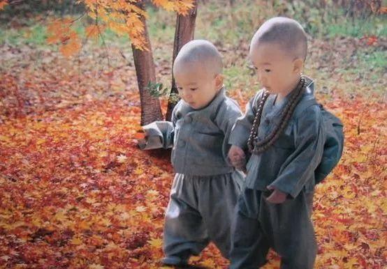 「美貌情感」余生，和心疼你的人在一起