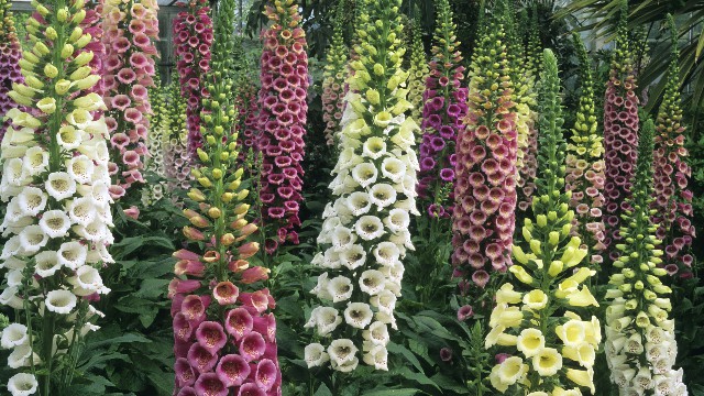 蓉华怀中猫■对生活很丧的句子，短小有深度，让人一看就赞