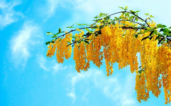 蓉华怀中猫■对生活很丧的句子，短小有深度，让人一看就赞