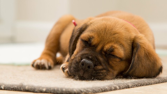 蓉华怀中猫■对生活很丧的句子，短小有深度，让人一看就赞