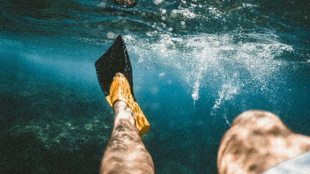 【蓉华怀中猫】适合发说说的经典句子，唯情不忘，送给你牵挂的人