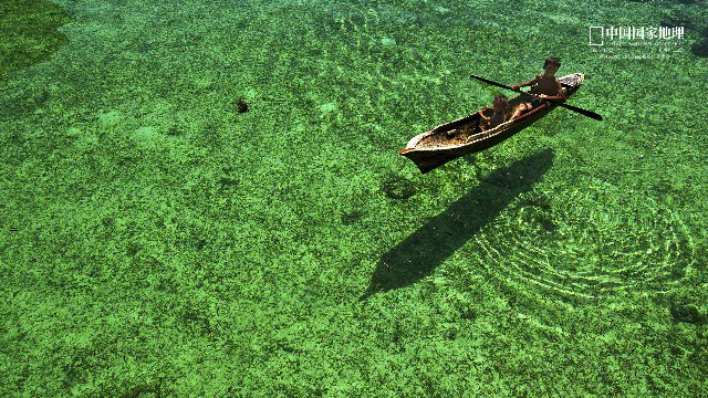 [蓉华怀中猫]最伤心难过无助的说说，句句大实话，送给深夜无眠的你