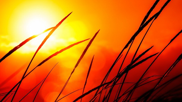 [蓉华怀中猫]说说伤感到心痛的短句子，句句很真实，送给被情所伤的你