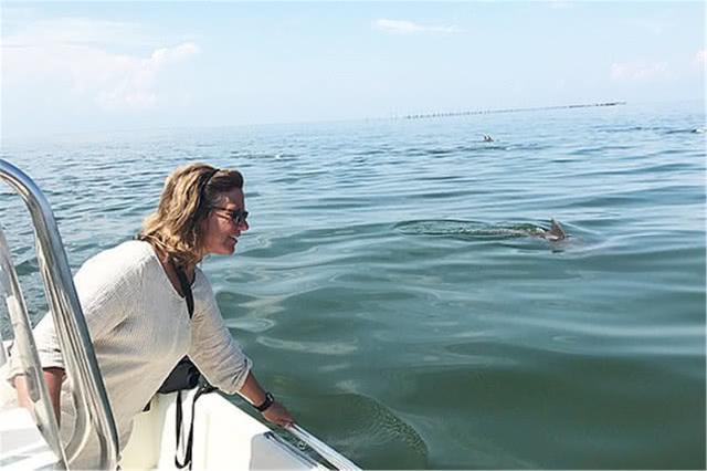 美国波托马克河曾因污染被称为国家耻辱，如今有千头海豚生存在此