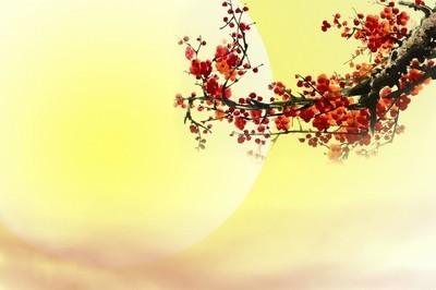 【美文鉴赏】从易经中领悟几句话，句句道尽人生之理，经典