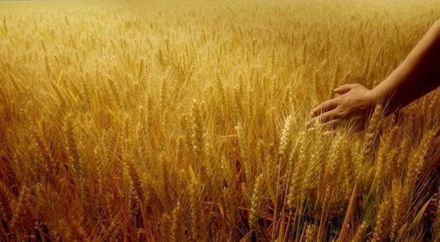 【心灵之音的空间】就是这样一天一天度过，不浪费，不虚度，做自己生命和生活的主人