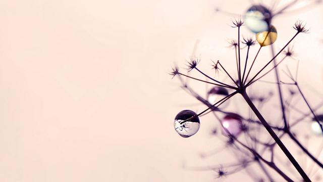 【Aichi冰淇淋】做一个温暖的人，浅浅的笑，轻轻的爱……