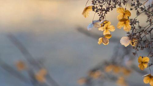 【Aichi冰淇淋】做一个温暖的人，浅浅的笑，轻轻的爱……