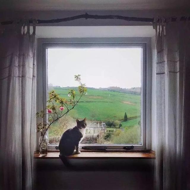 【励志司机小贺】情感语录：爱的方式有千千万，能检验的只有时间...