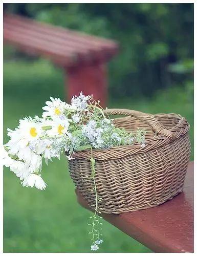 「女人智慧语录」女人是梨，男人是洋葱，句句戳心