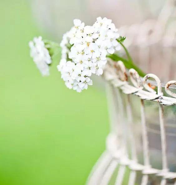 「女人智慧语录」女人是梨，男人是洋葱，句句戳心