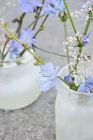 「女人智慧语录」女人是梨，男人是洋葱，句句戳心