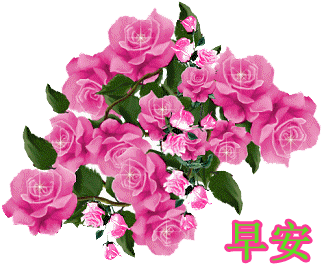 #前无后有#最美早上好问候祝福语动态漂亮图片，漂亮早安祝福送给你们