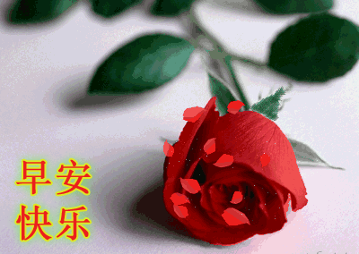 #前无后有#最美早上好问候祝福语动态漂亮图片，漂亮早安祝福送给你们