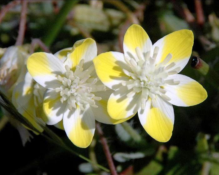 生活万万千：阳光励志的句子，世上没有绝望的处境，只有对处境绝望的人