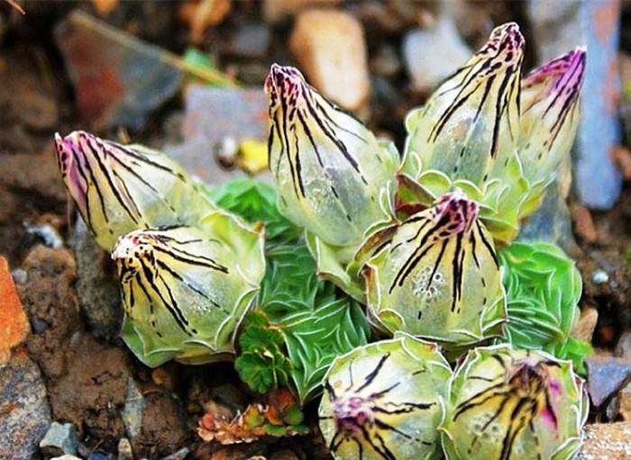 生活万万千：阳光励志的句子，世上没有绝望的处境，只有对处境绝望的人