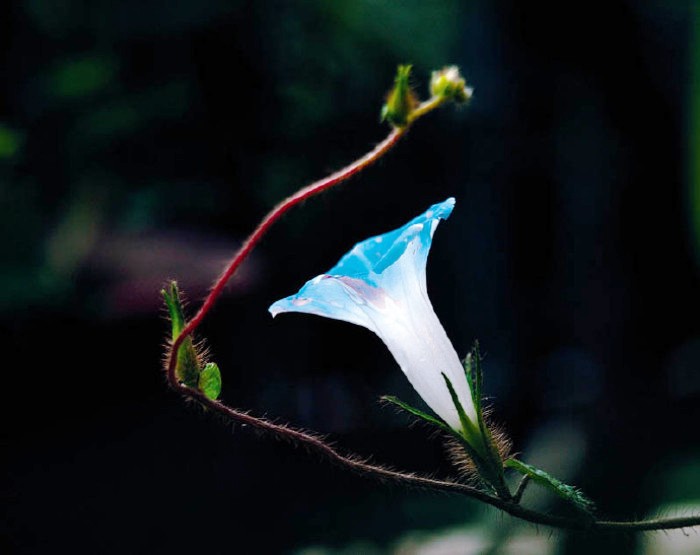 生活万万千：阳光励志的句子，世上没有绝望的处境，只有对处境绝望的人