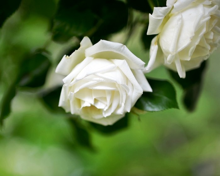 生活万万千：阳光励志的句子，世上没有绝望的处境，只有对处境绝望的人