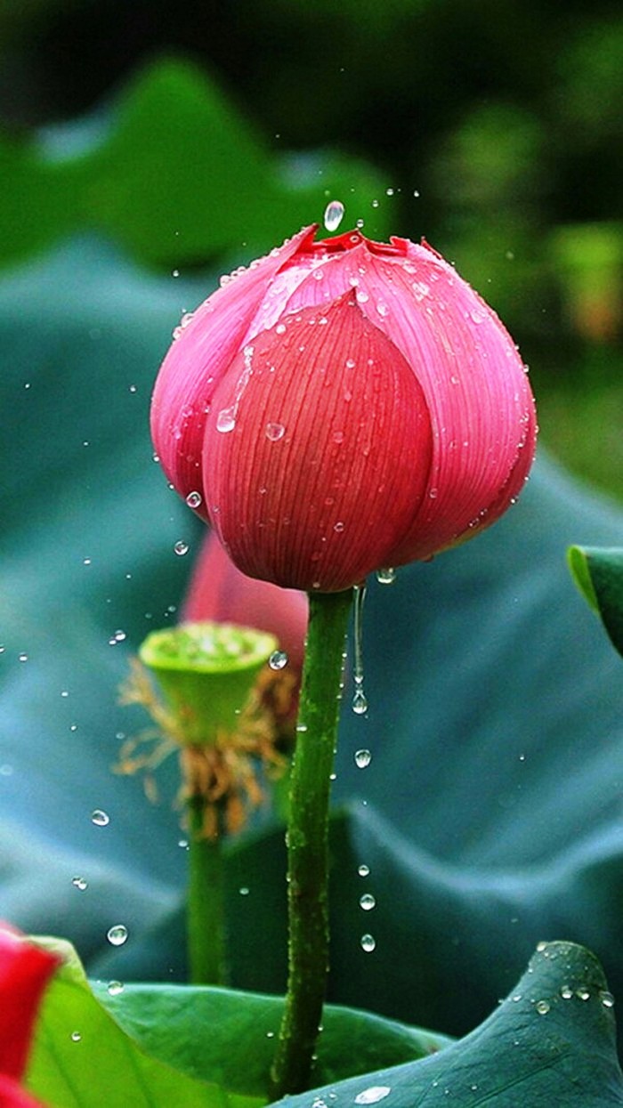 「人生阅历分享」适合发朋友圈的说说短语，经典走心，句句有内涵