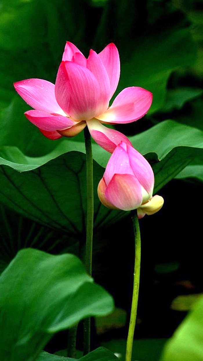 「人生阅历分享」适合发朋友圈的说说短语，经典走心，句句有内涵