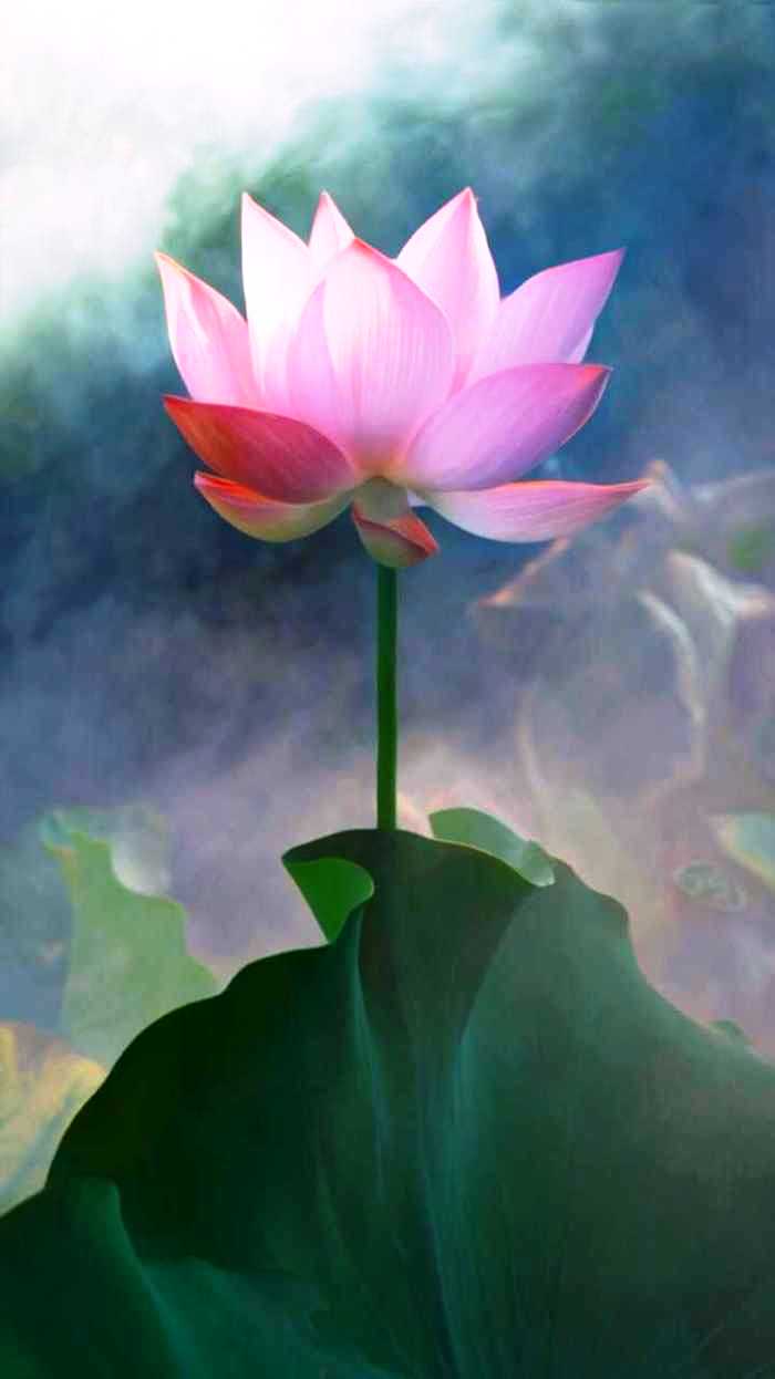 「人生阅历分享」适合发朋友圈的说说短语，经典走心，句句有内涵