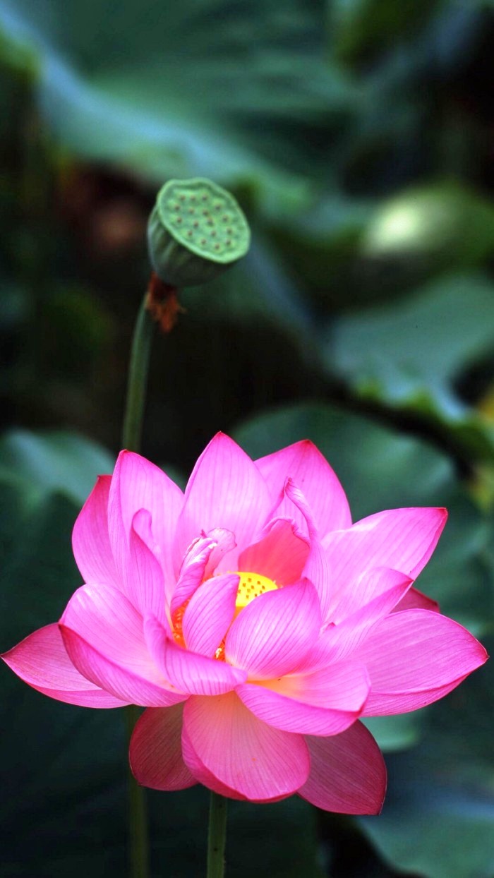 「人生阅历分享」适合发朋友圈的说说短语，经典走心，句句有内涵