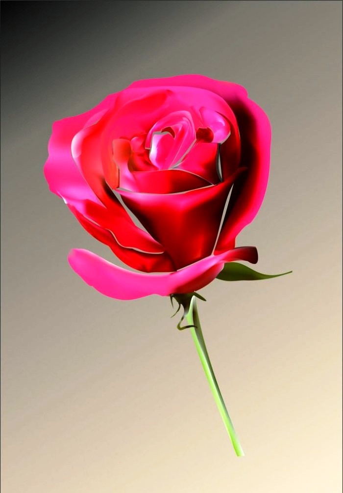 人生阅历分享■写进心窝的经典句子，句句触动人心