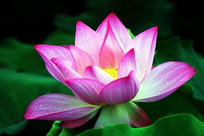 人生阅历分享■写进心窝的经典句子，句句触动人心