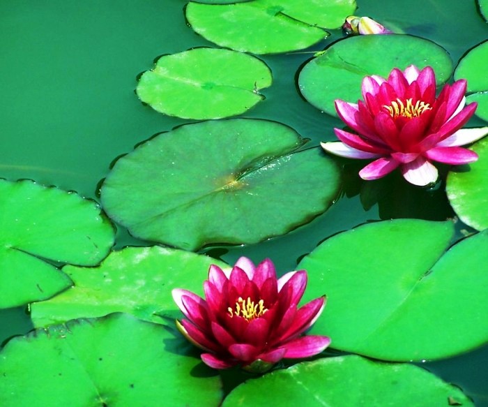 人生阅历分享■写进心窝的经典句子，句句触动人心