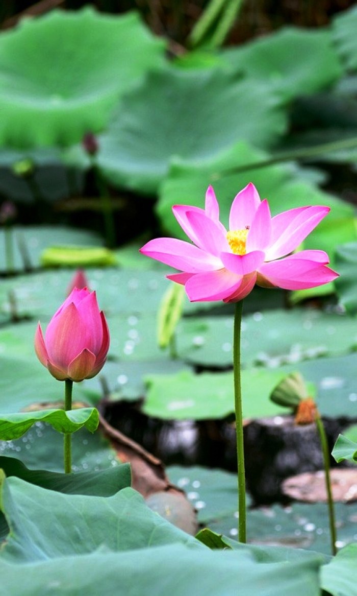 人生阅历分享■写进心窝的经典句子，句句触动人心