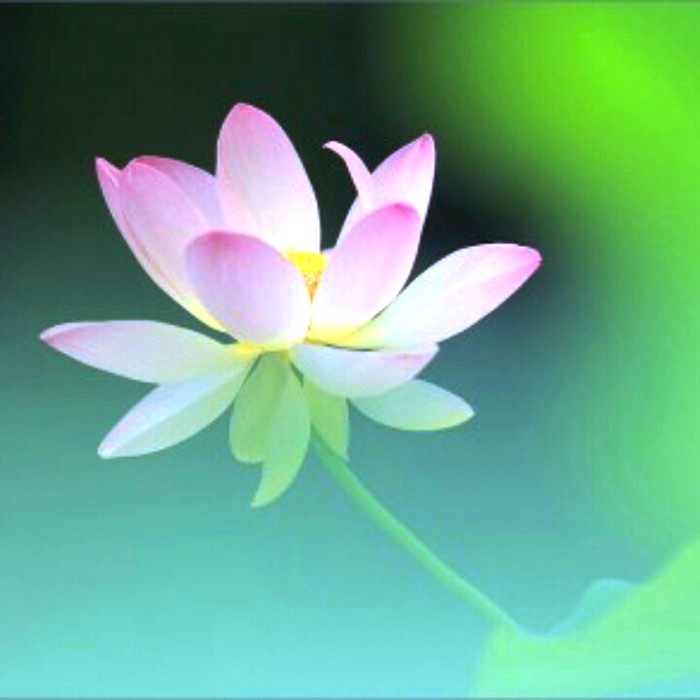 人生阅历分享■写进心窝的经典句子，句句触动人心