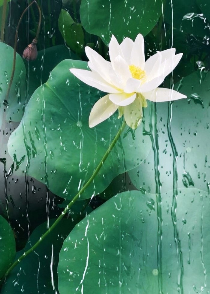 人生阅历分享■写进心窝的经典句子，句句触动人心