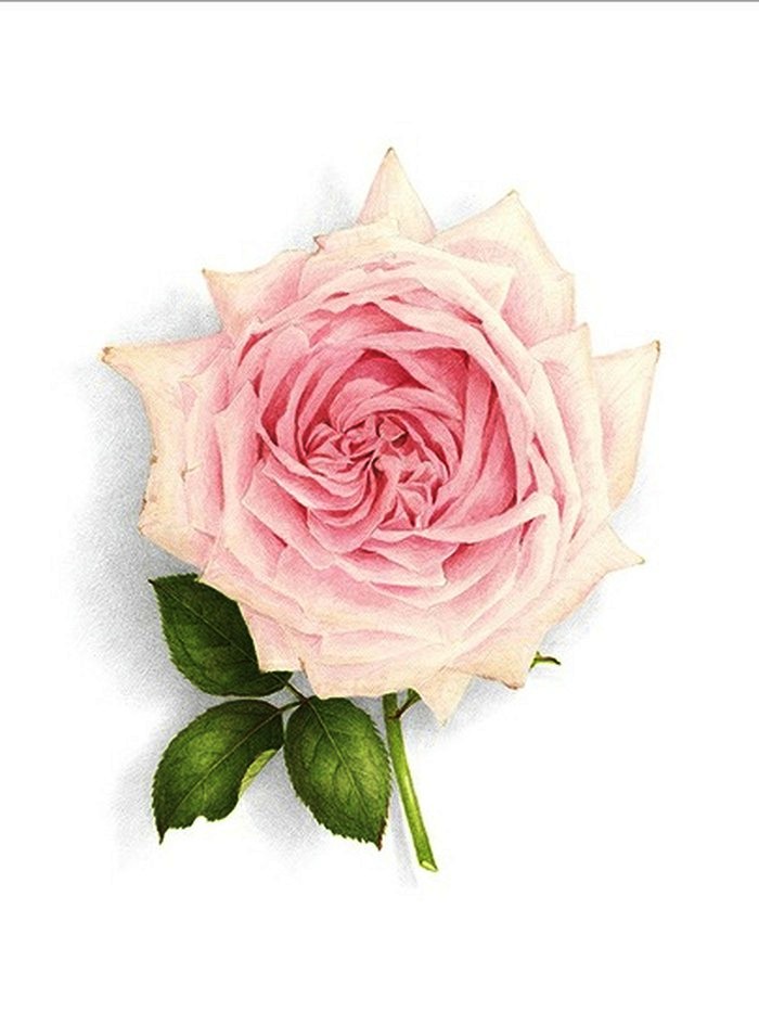 「人生阅历分享」碰触心灵的说说句子，经典深刻，醒悟人生