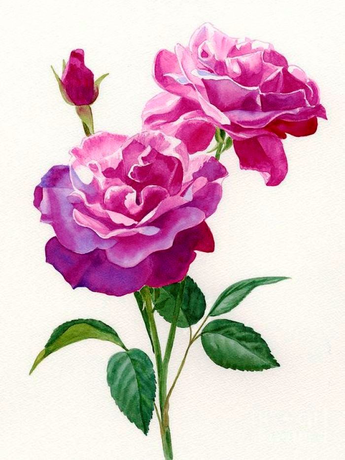 「人生阅历分享」碰触心灵的说说句子，经典深刻，醒悟人生