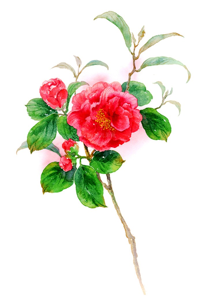 「人生阅历分享」碰触心灵的说说句子，经典深刻，醒悟人生