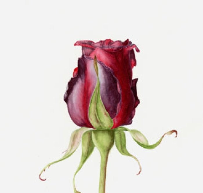 「人生阅历分享」碰触心灵的说说句子，经典深刻，醒悟人生