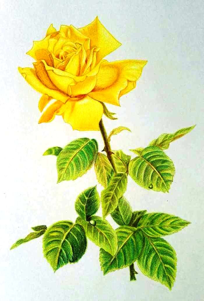 「人生阅历分享」碰触心灵的说说句子，经典深刻，醒悟人生