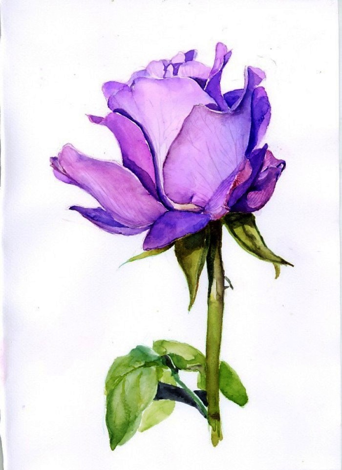 「人生阅历分享」碰触心灵的说说句子，经典深刻，醒悟人生