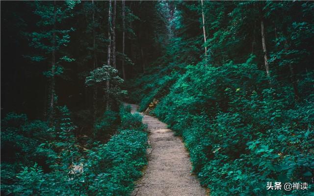 【励志的娱乐】相识于真，才能相知于心