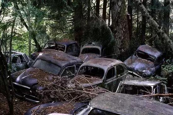 「车行易·有车」这些汽车冷知识，来了解一下！你就是朋友圈最懂车的仔