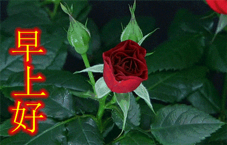 「女子健身」朋友圈句句走心的早上好阳光问候语 最新早上好动态漂亮祝福图片