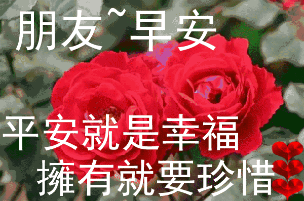 「女子健身」朋友圈句句走心的早上好阳光问候语 最新早上好动态漂亮祝福图片