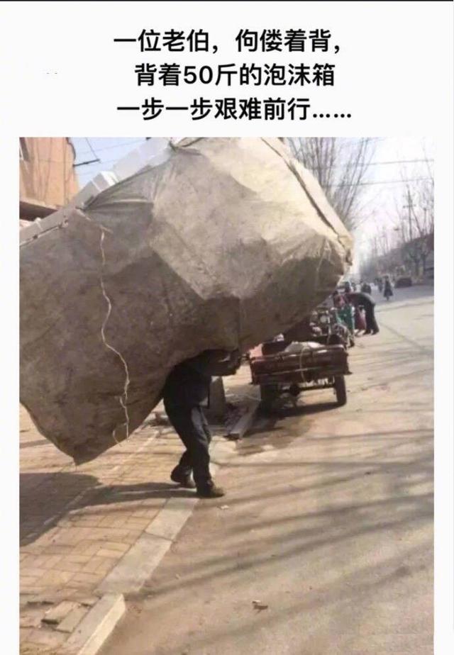 「美文鉴赏」如果你觉得你的人生不如意，请来看看这些图片。